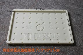 黔张常圆点铁标水泥盖板模具
