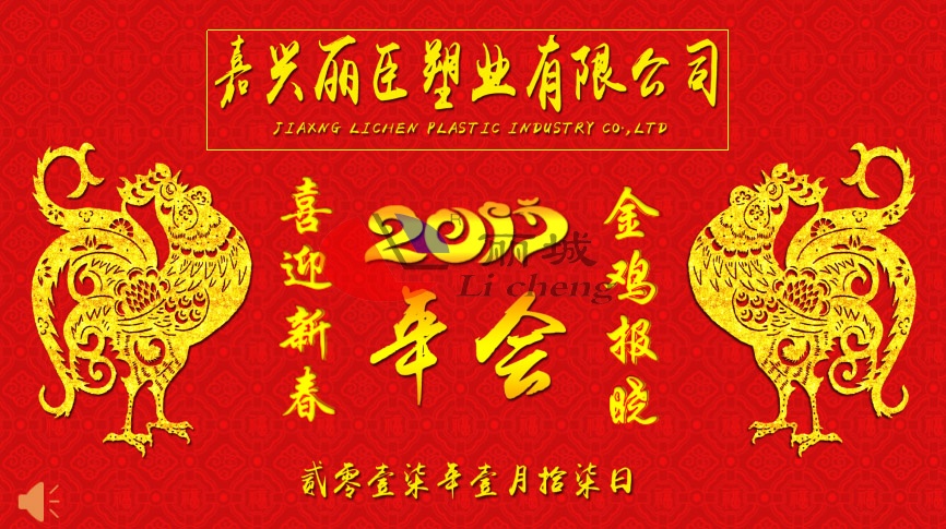 新彩网2017年会
