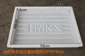 哈牡客专高速水泥盖板塑料模具