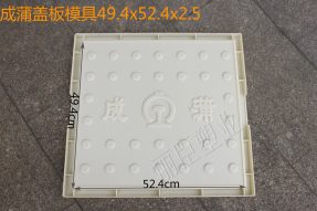 成蒲矩形盖板模具