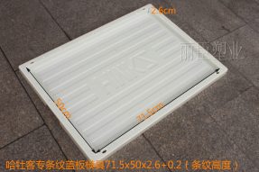 ABS哈牡客专盖板塑料模具